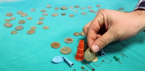 Nereden çıktıklarını Duyunca çok şaşıracaksınız