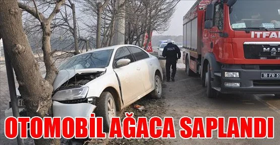 Otomobil ağaca saplandı