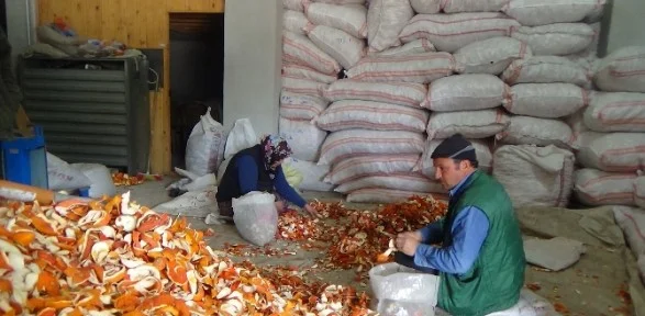 Portakal kabuğu ekmek kapıları oldu