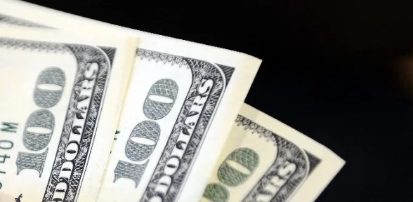 Dolar 2,51’i geçti