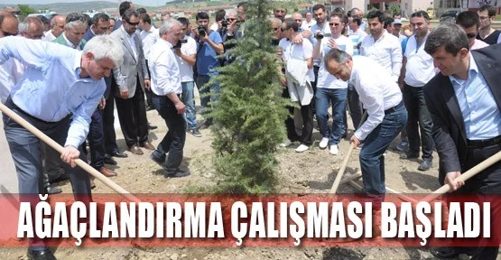 Ağaçlandırma Çalışması Başladı