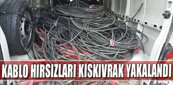 Kablo hırsızları kıskıvrak yakalandı