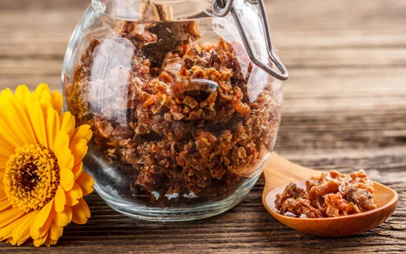 Propolis nedir? Propolis'in faydaları inanılmaz!