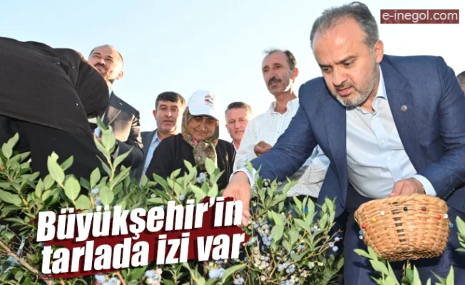 Büyükşehir’in tarlada izi var