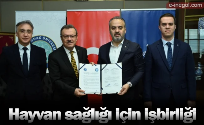 Hayvan sağlığı için işbirliği