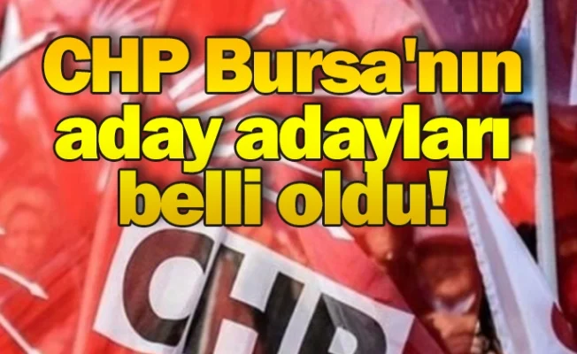 CHP Bursa'nın aday adayları belli oldu!