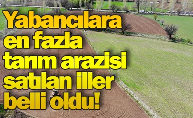 Yabancılara en fazla tarım arazisi satılan iller belli oldu!