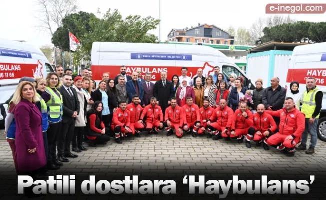 Patili dostlara ‘Haybulans’