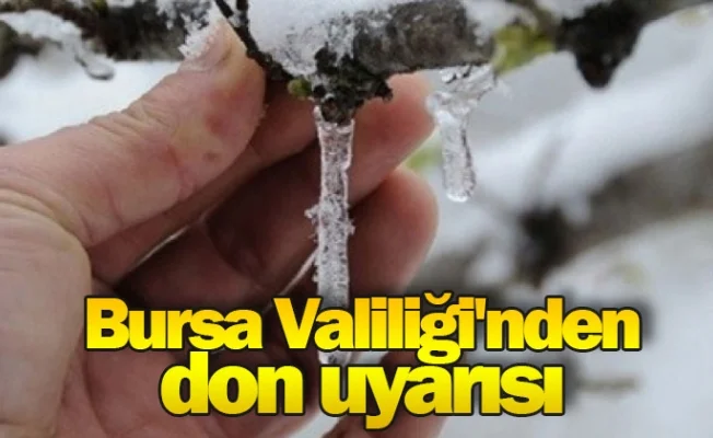 Bursa Valiliği'nden don uyarısı