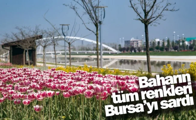Baharın tüm renkleri Bursa’yı sardı