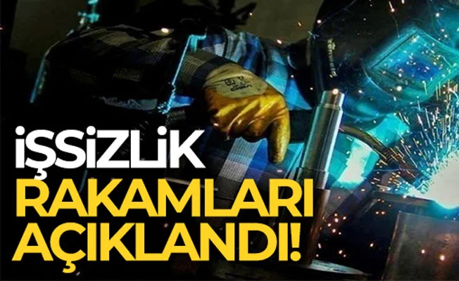 İşsizlik rakamları açıklandı