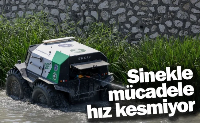 Sinekle mücadele hız kesmiyor
