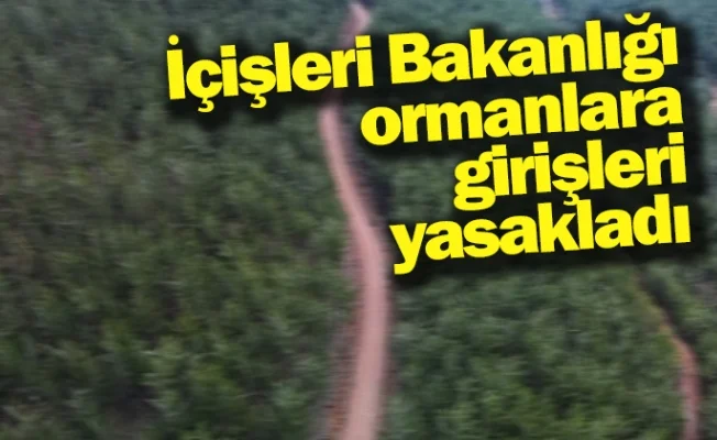 İçişleri Bakanlığı ormanlara girişleri yasakladı