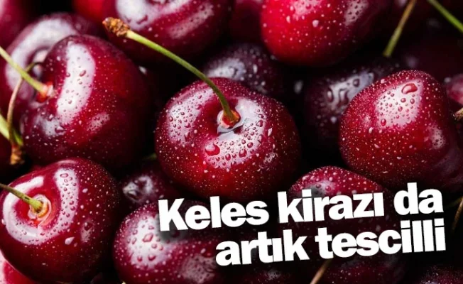Keles kirazı da artık tescilli