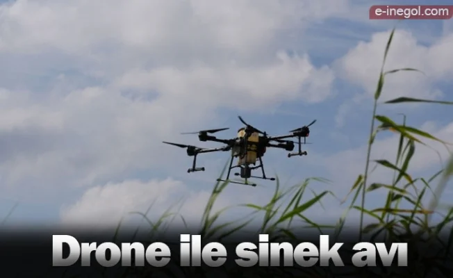 Drone ile sinek avı