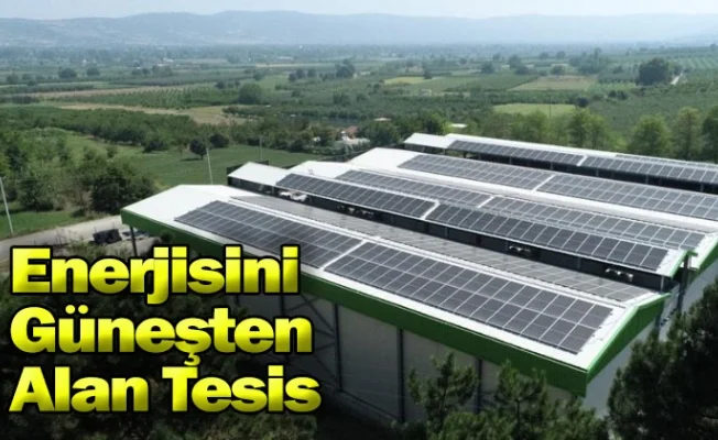 Enerjisini Güneşten Alan Tesis