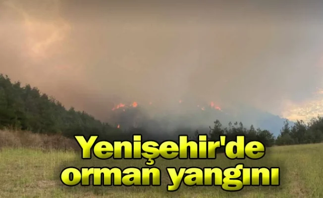 Yenişehir'de orman yangını