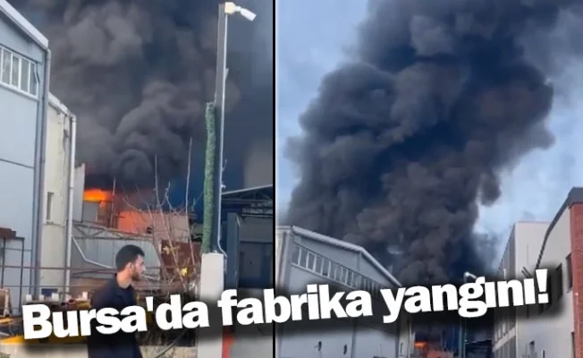 Bursa'da fabrika yangını!