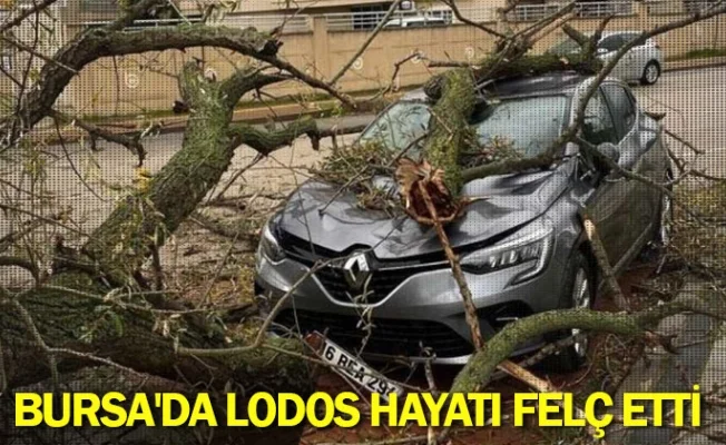 Bursa'da lodos hayatı felç etti