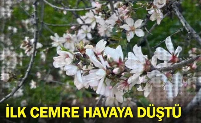 İlk cemre havaya düştü