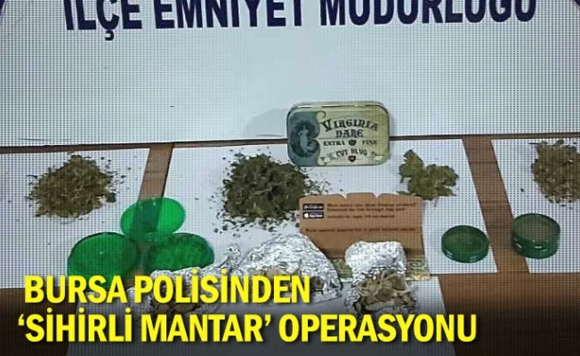Bursa polisinden 'sihirli mantar' operasyonu