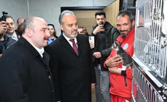 Can dostlara modern yeni yuva