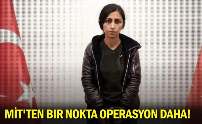 MİT'ten bir nokta operasyon daha!