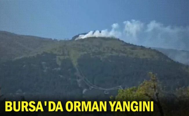 Bursa'da orman yangını