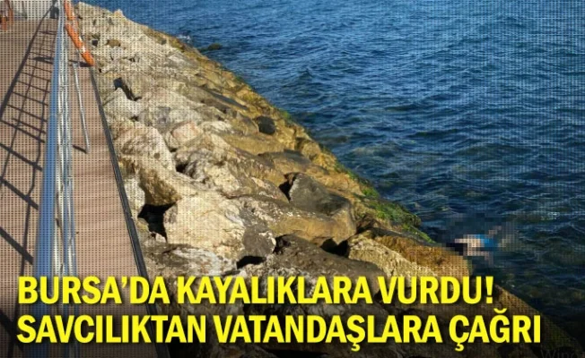 Bursa'da kayalıklara vurdu! Savcılıktan vatandaşlara çağrı