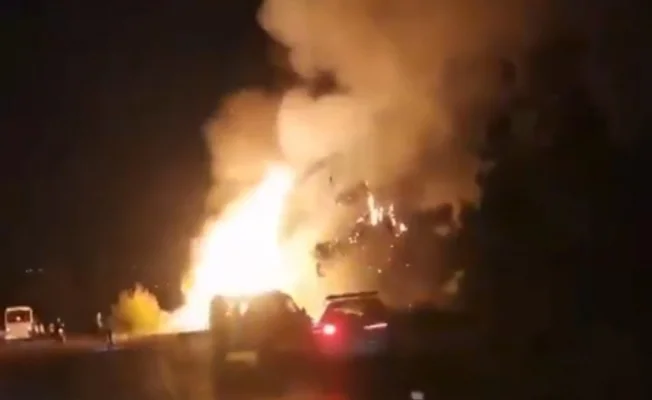 Bursa'da Orman Yangını