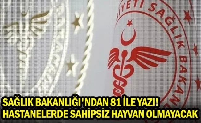 Sağlık Bakanlığı'ndan 81 ile yazı! Hastanelerde sahipsiz hayvan olmayacak