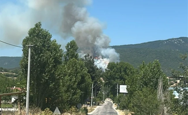 Yenişehir'de yangın