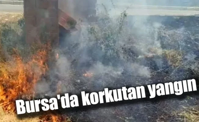 Bursa'da korkutan yangın