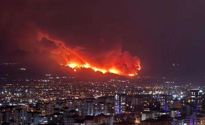 Bursa’nın ciğerleri yanıyor!
