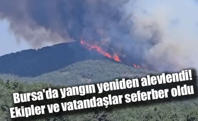 Bursa'da yangın yeniden alevlendi! Ekipler ve vatandaşlar seferber oldu