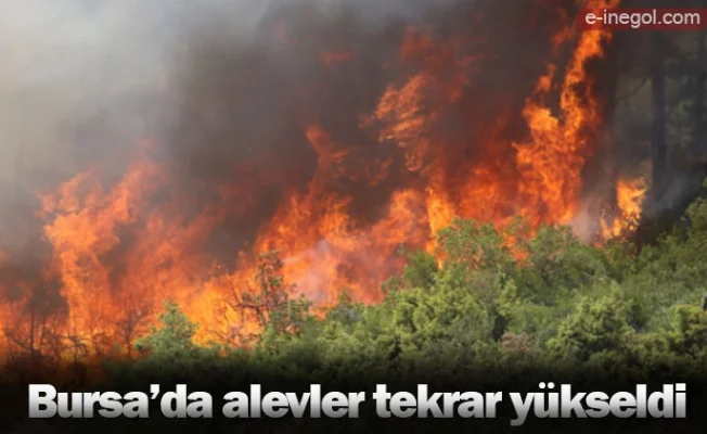 Bursa’da alevler tekrar yükseldi