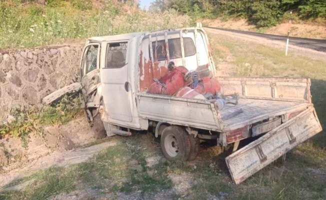Kontrolden çıkan kamyonet...
