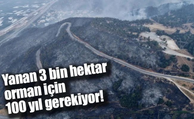 Yanan 3 bin hektar orman için 100 yıl gerekiyor!