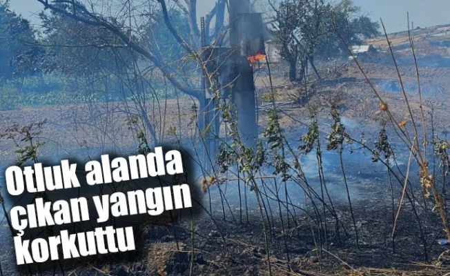 Otluk alanda çıkan yangın korkuttu