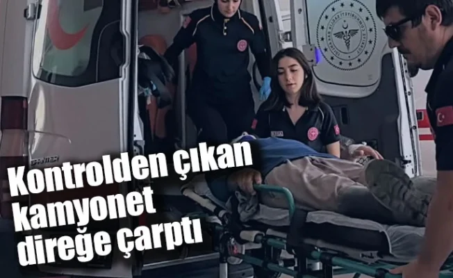 Kontrolden çıkan kamyonet direğe çarptı