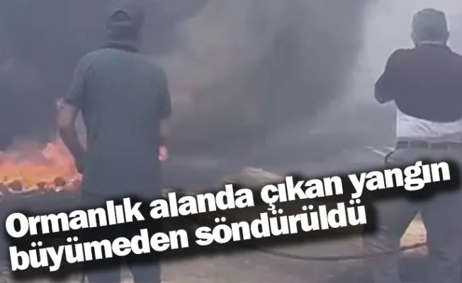 Ormanlık alanda çıkan yangın büyümeden söndürüldü