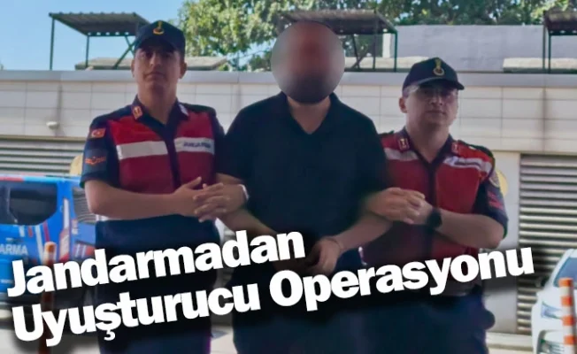 Jandarmadan Uyuşturucu Operasyonu