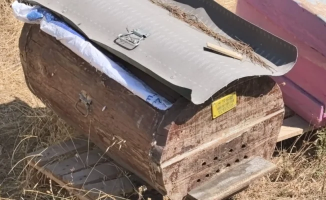 Kara kovan balı her derde deva