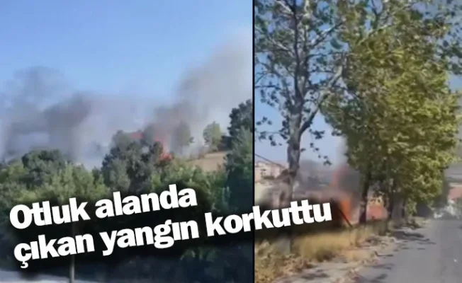 Otluk alanda çıkan yangın korkuttu