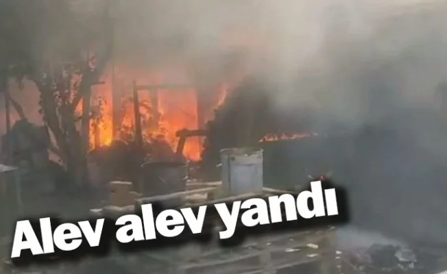 Alev alev yandı