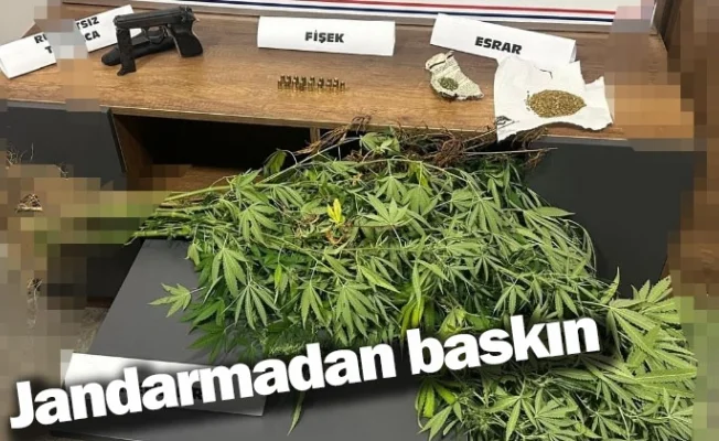 Jandarmadan baskın