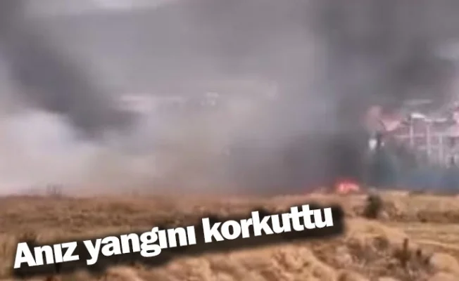 Anız yangını korkuttu