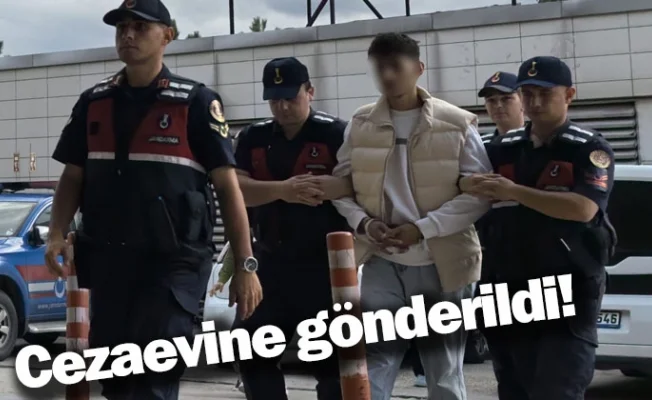 Cezaevine gönderildi!