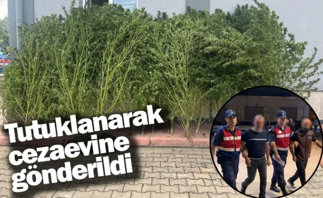 Tutuklanarak cezaevine gönderildi