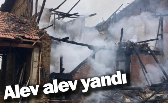 Alev alev yandı